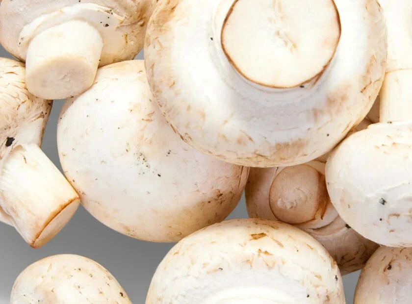 Cholibrium™ White Button functional mushroom